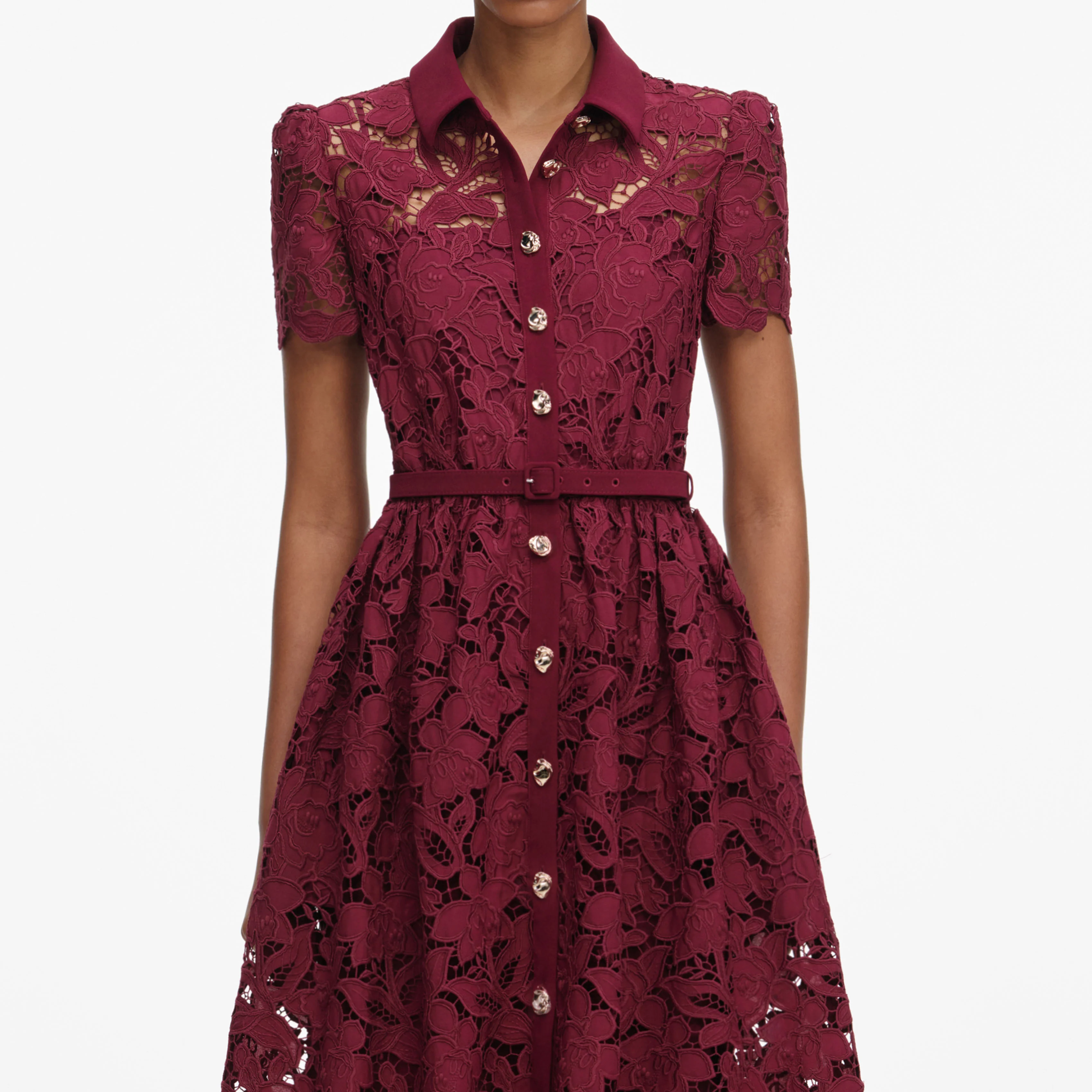 Burgundy Lace Collared Midi Dress - Image 4