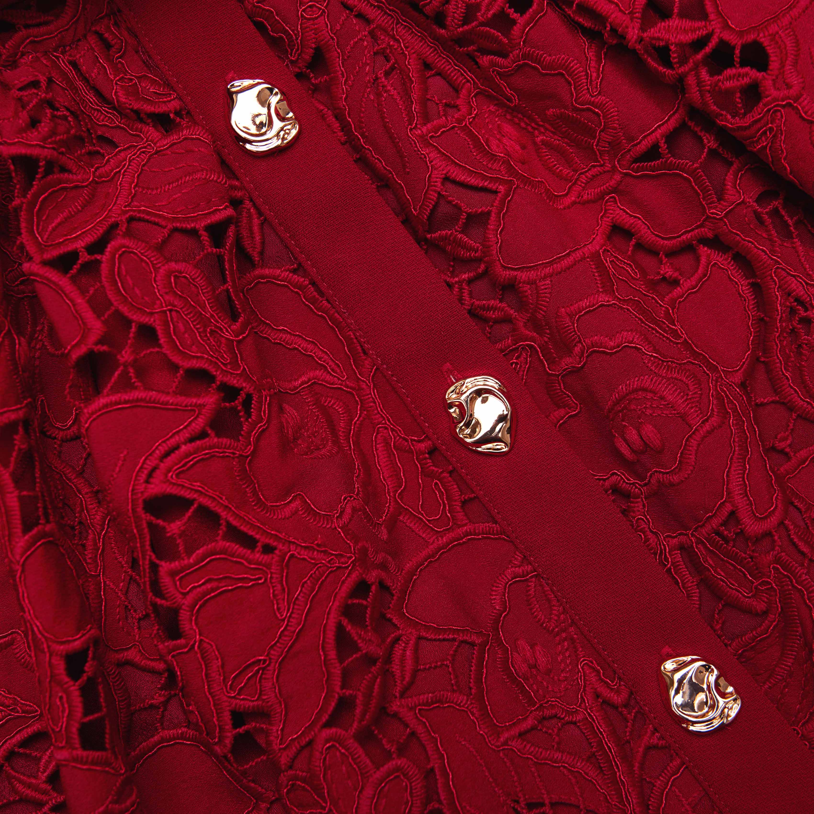 Burgundy Lace Collared Mini Dress - Image 5
